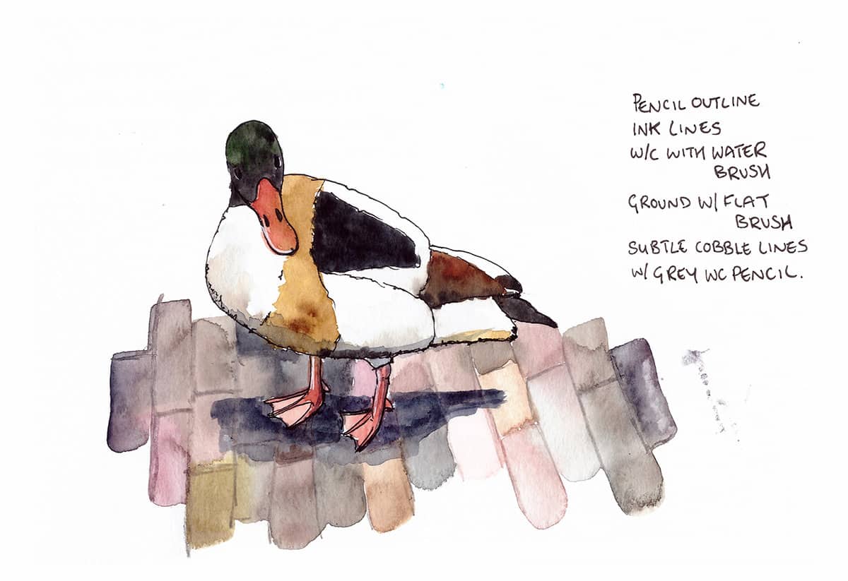 NEW 100% Cotton Sketchbooks from Hahnemühle. Watercolor Bird Demo. 